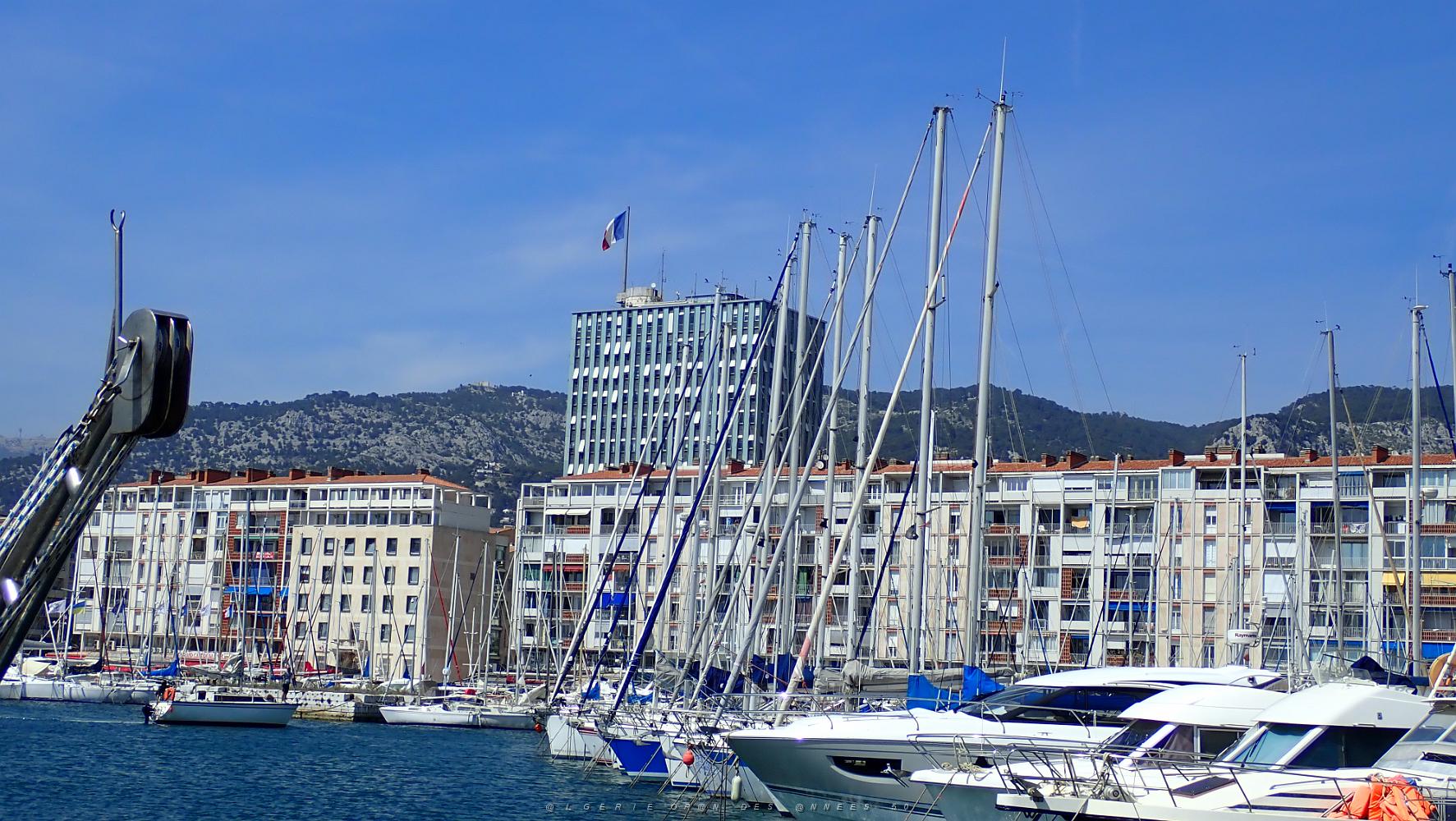 17 Toulon son Port et sa Mairie.JPG
